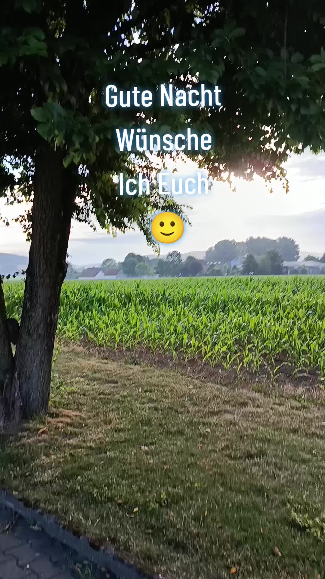 @44OLA4