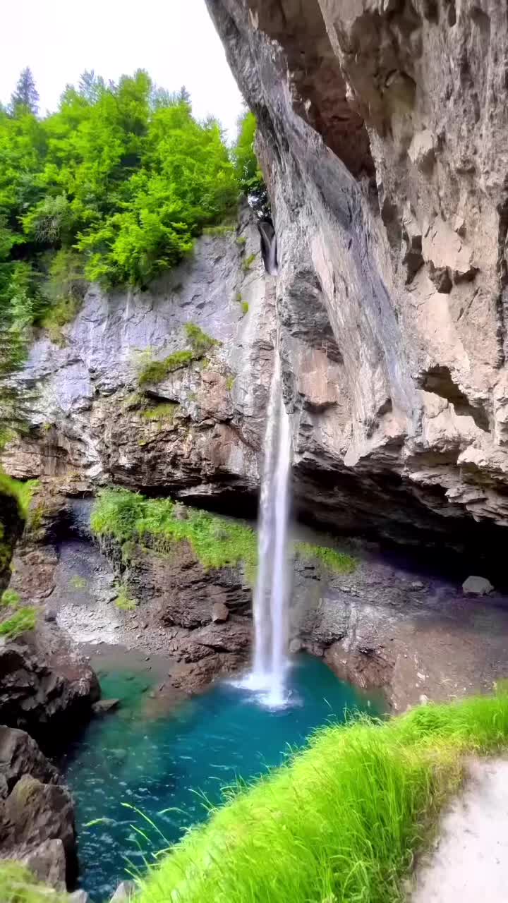 @Elwazir