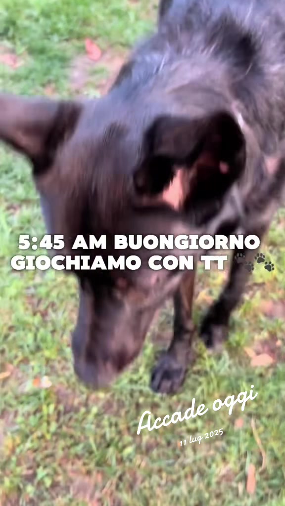 @simonemilivinti