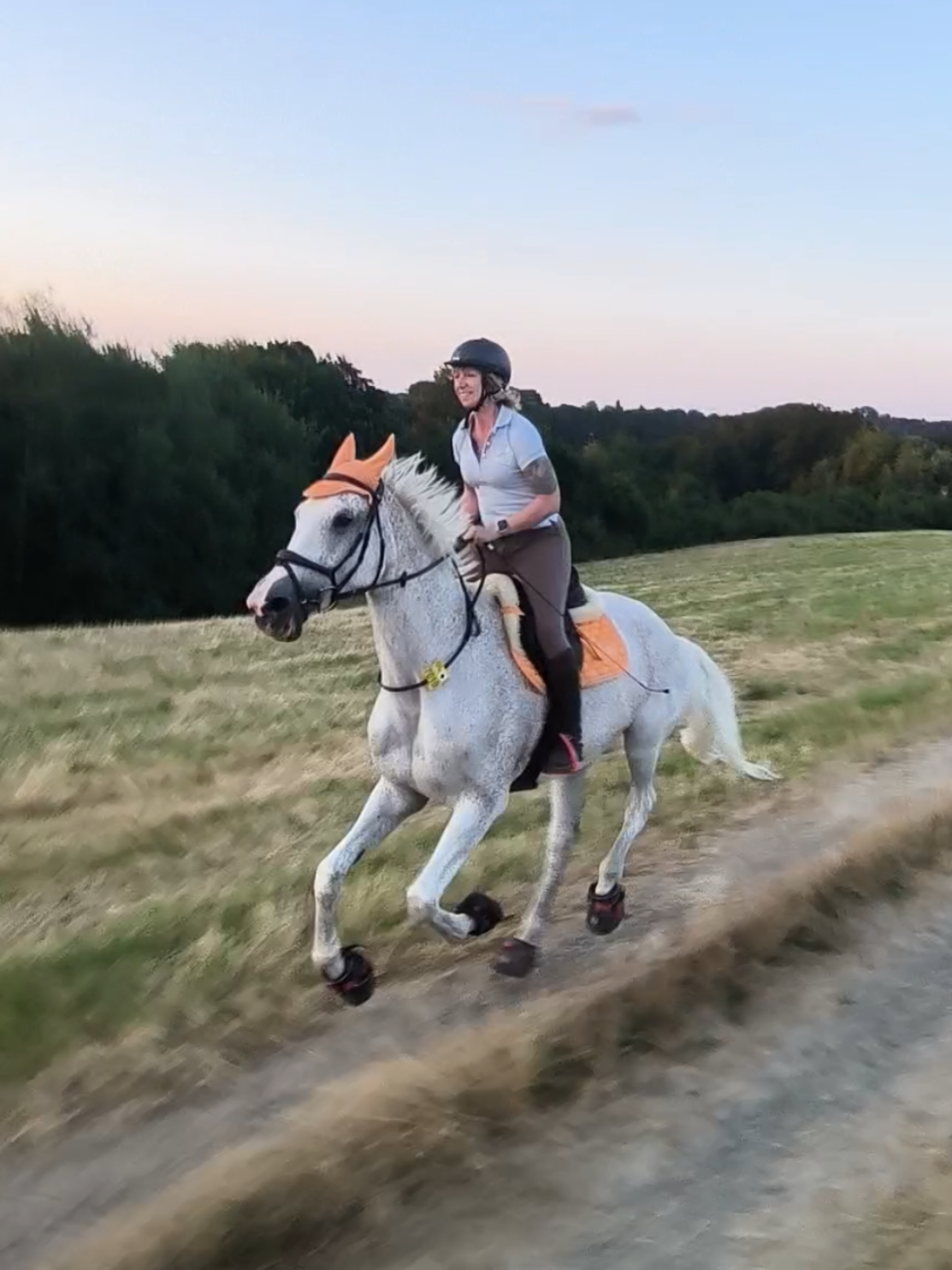 @Spring"Pony"Casha