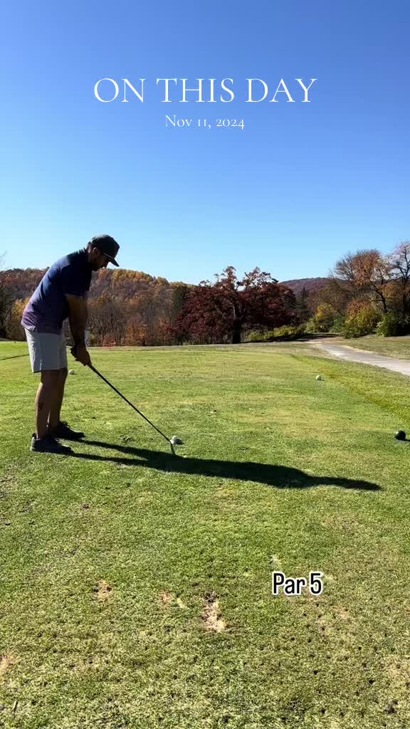 @Never Pure Golf