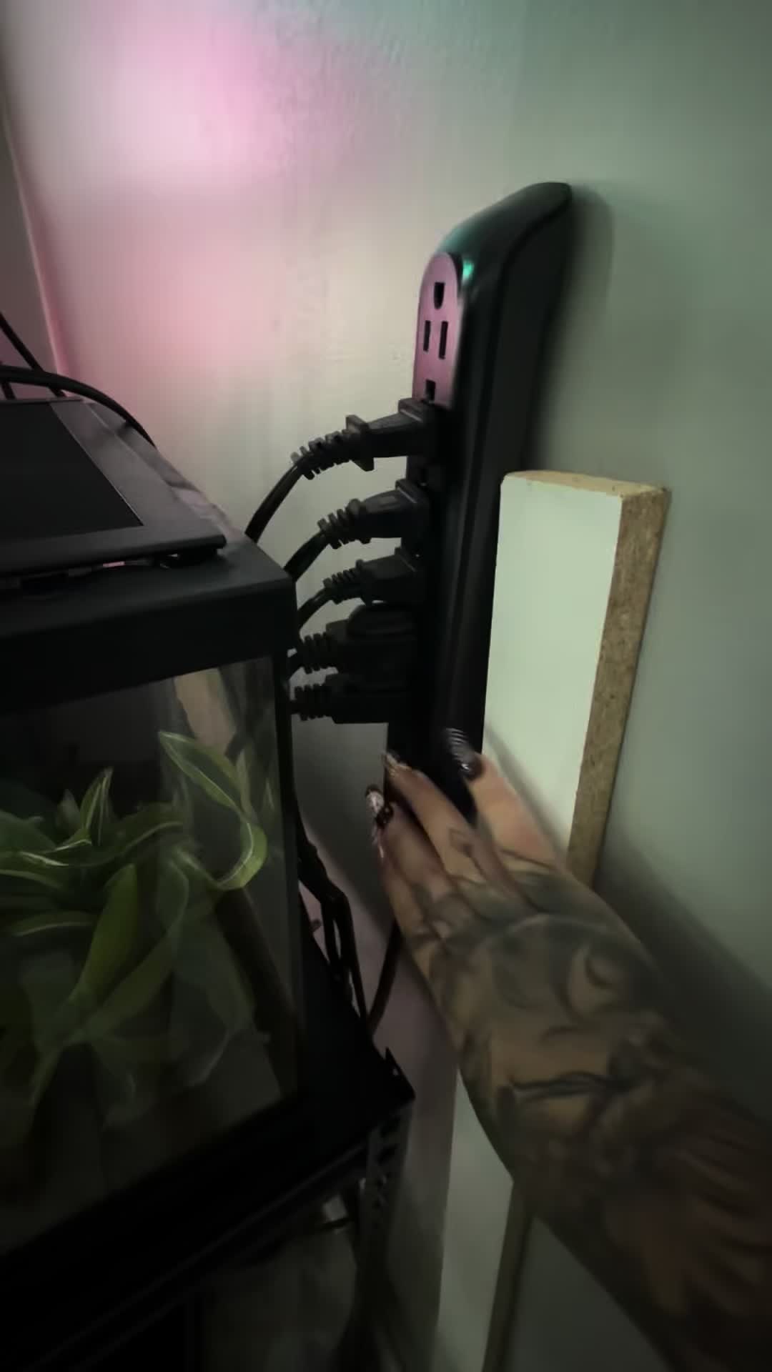 @Millie ✨️🖤