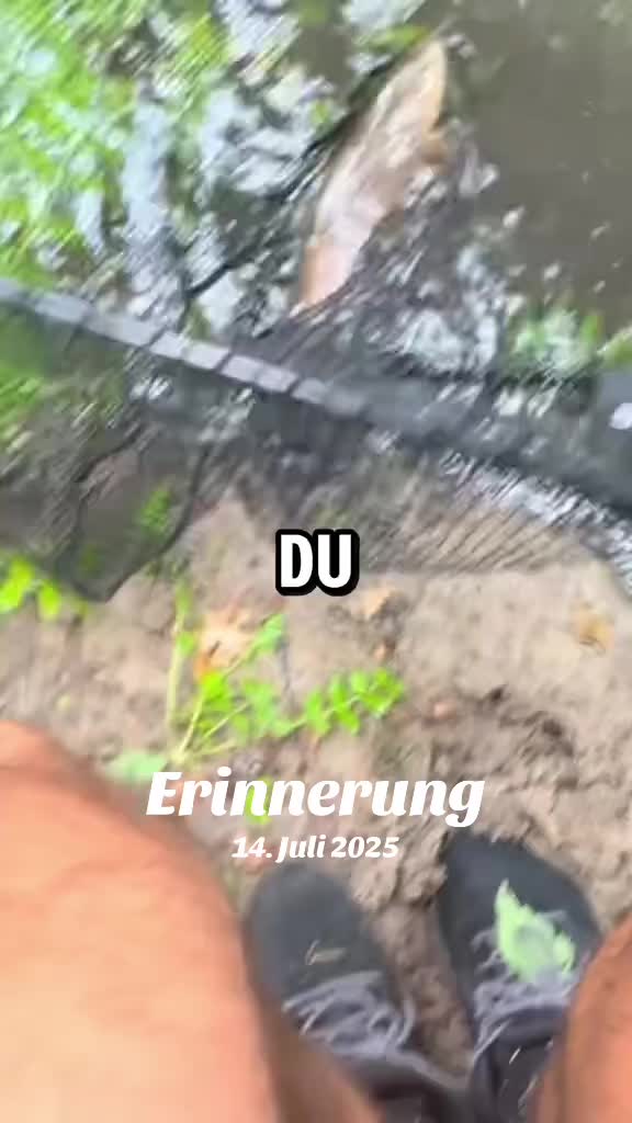 @Fischbulette