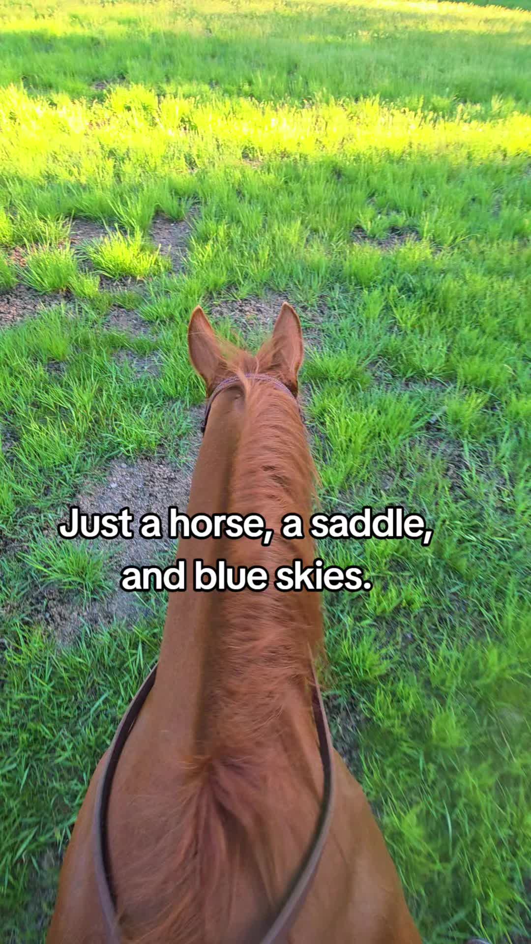 @🐴 ColdMountainRanch 🏇