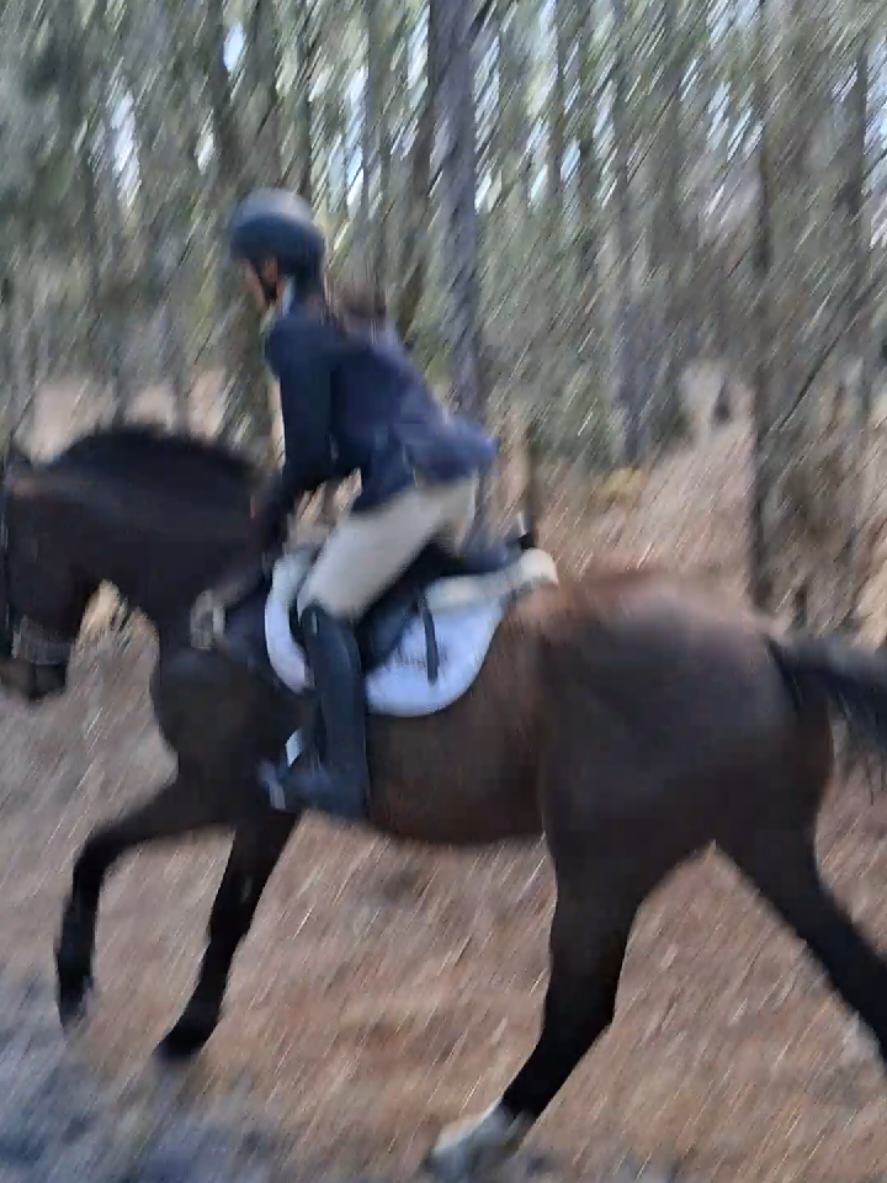 @sandbarfarm
