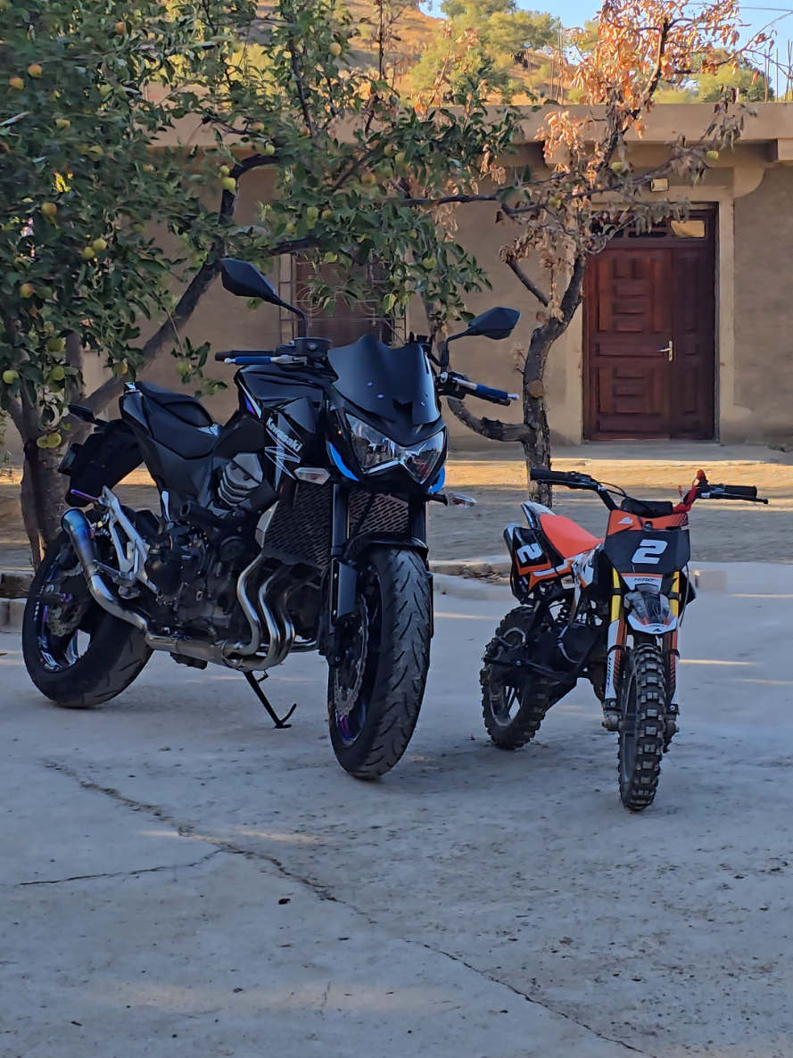 @👌le z8🙂&zwj;↕️ & s1000 ♨️
