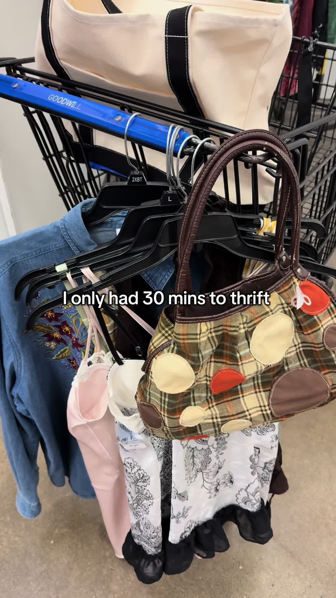 @finds in the city