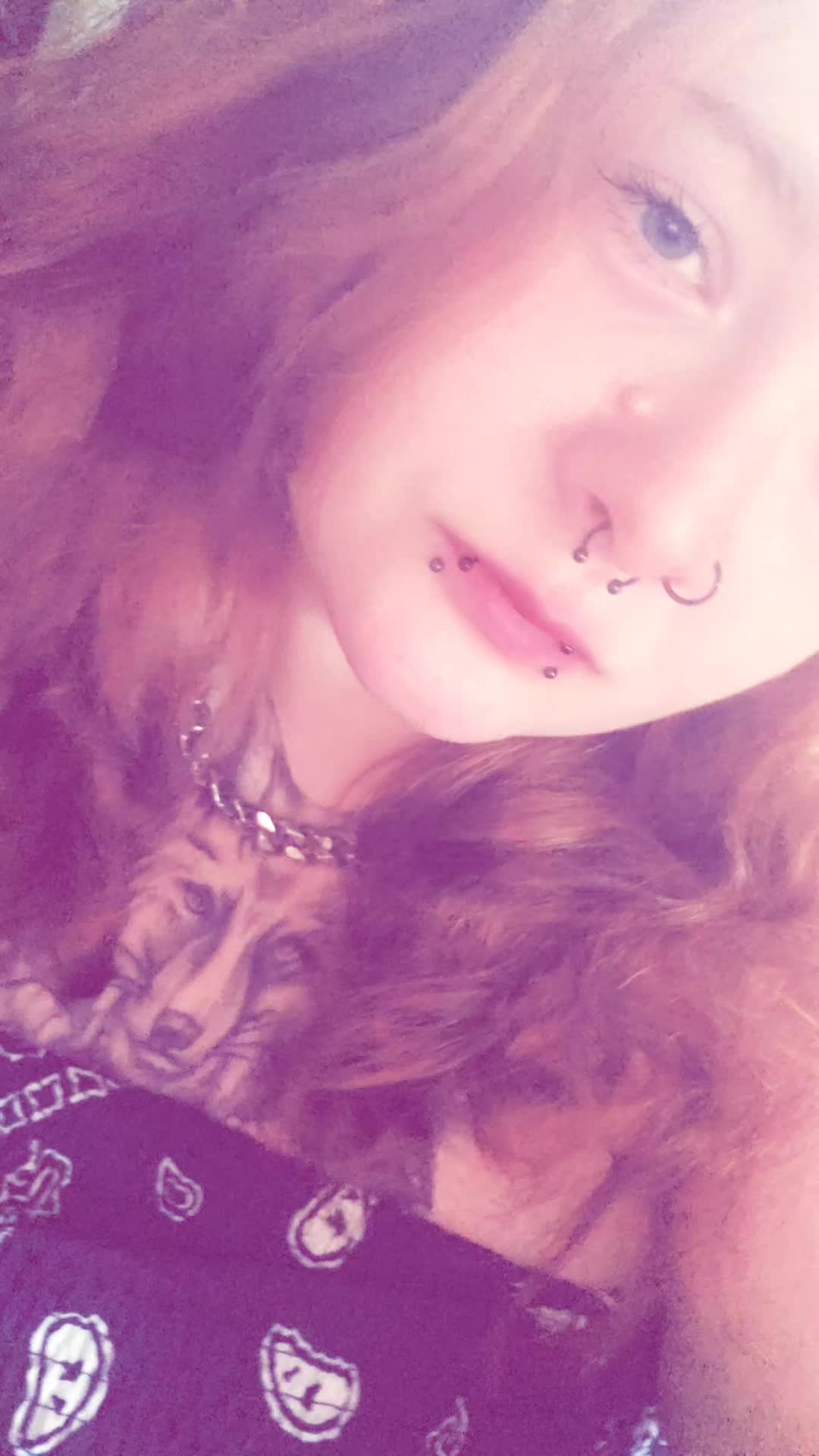 @🐾✨️н&alpha;&rho;&rho;у&rho;&alpha;&omega;ѕ&cent;ℓ&upsilon;в✨️🐾