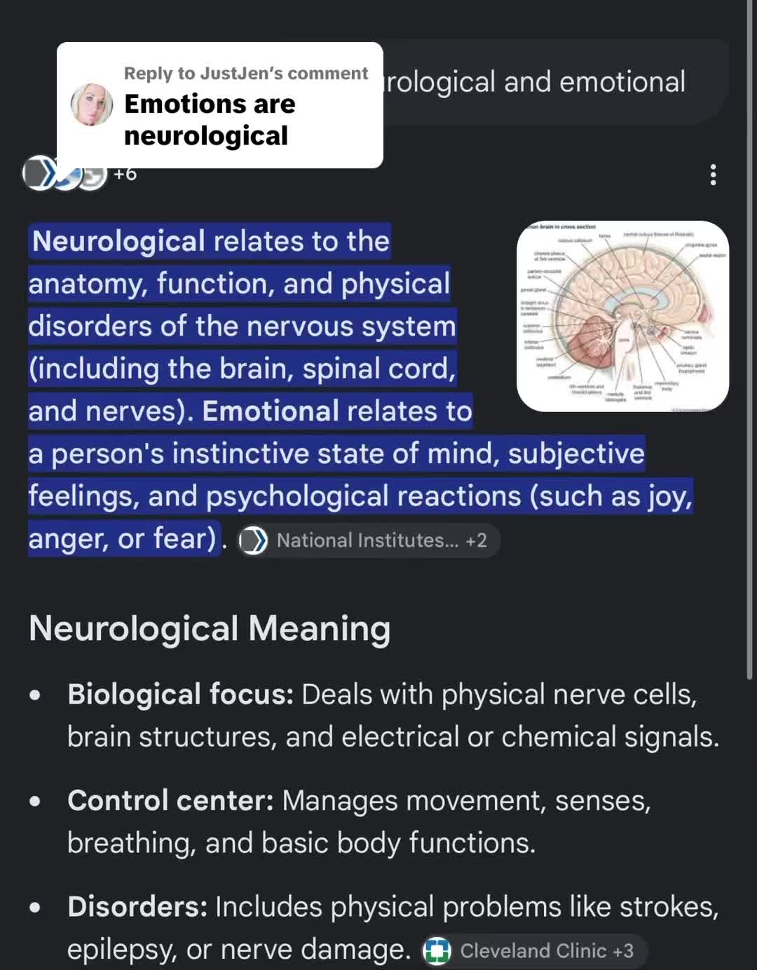 @NeuroLume Collective™️