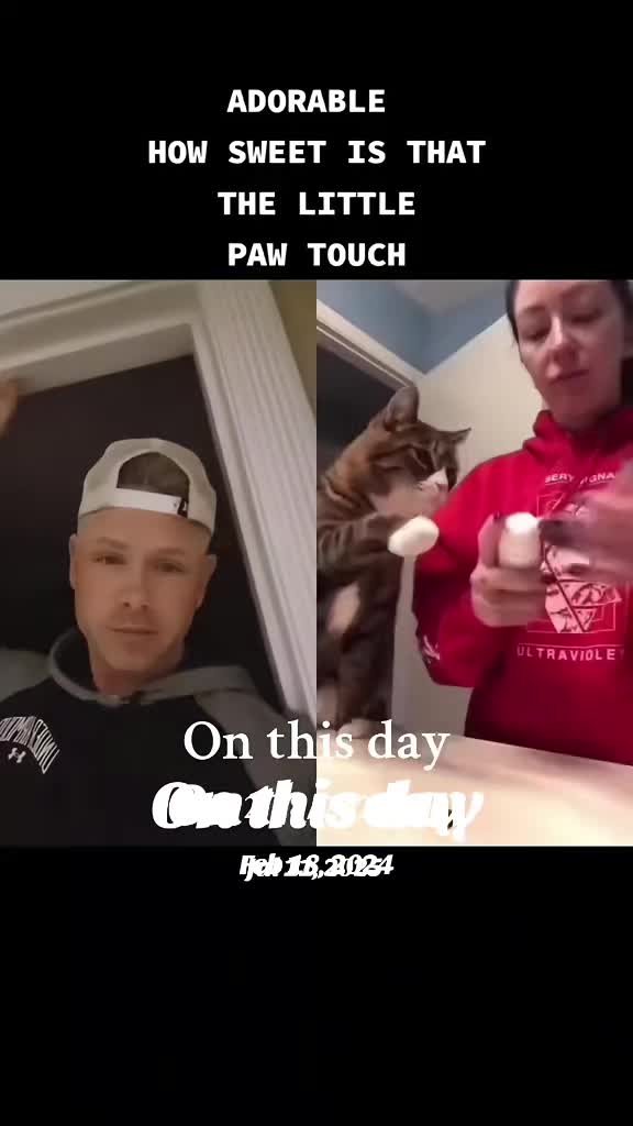 @Shredmaster3000