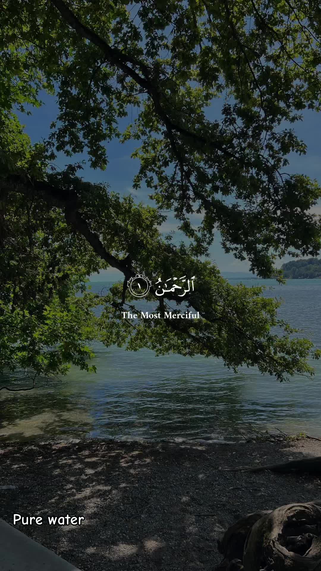 @Rawan A