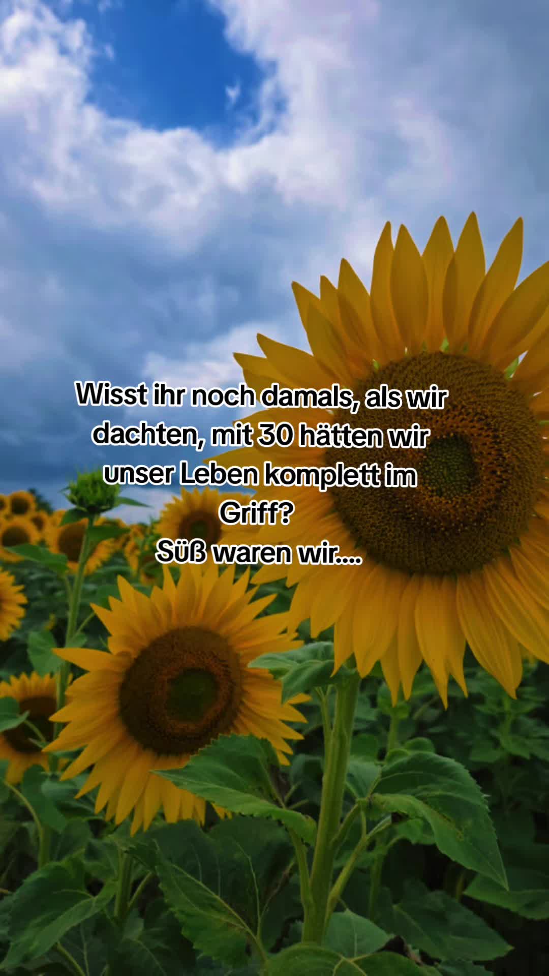 @Mo Ni Weber