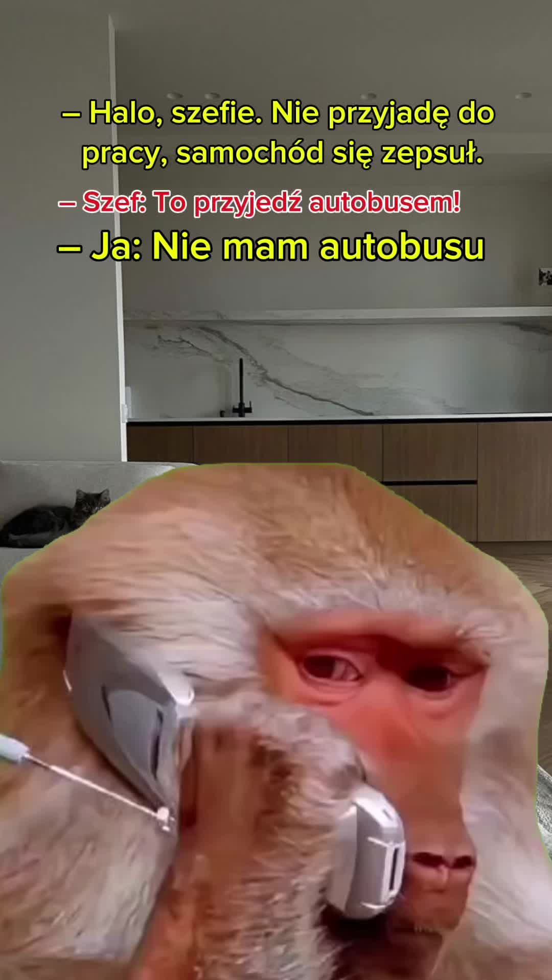 @Vita Nowak