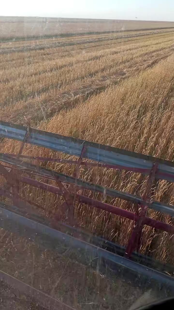 @яков