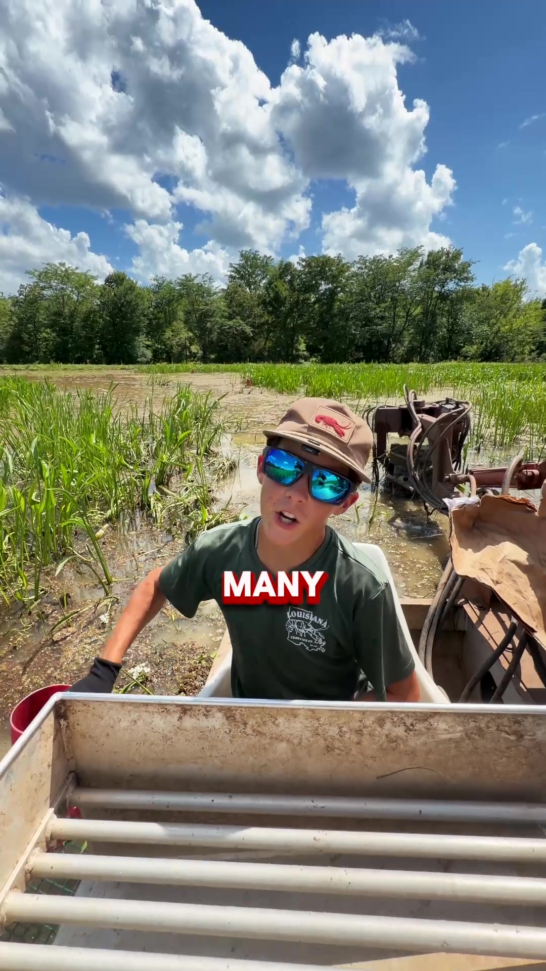 @louisianacrawfishco