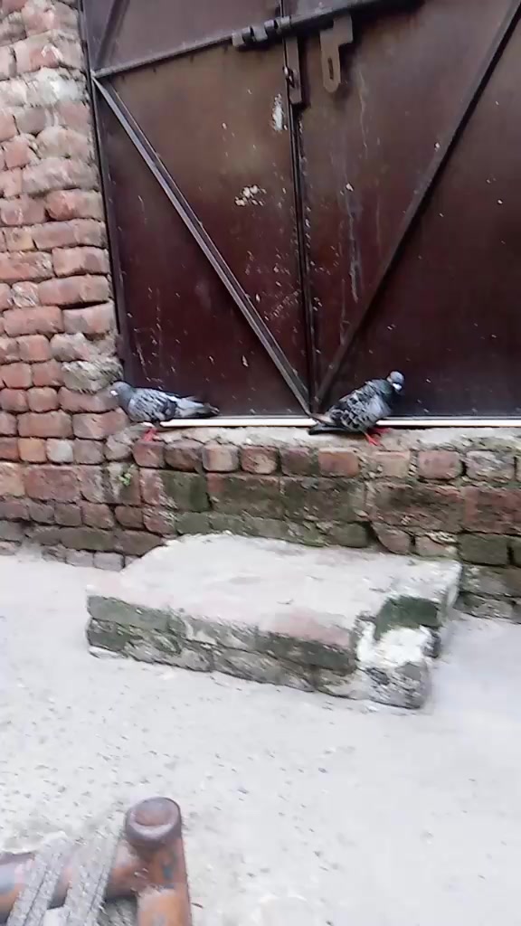 @Butt G