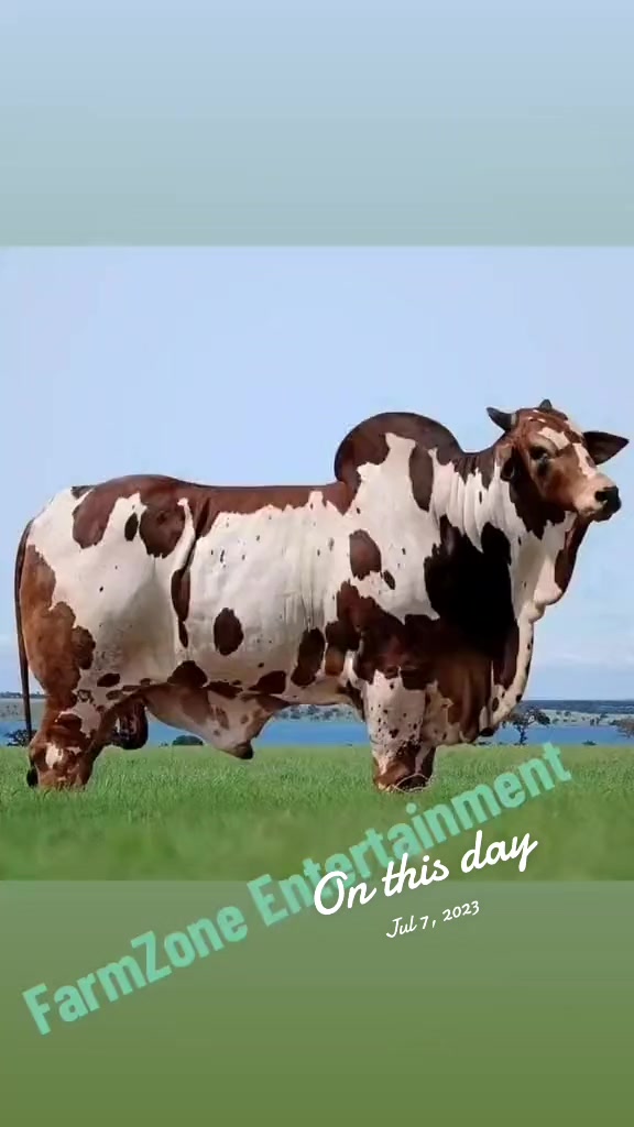 @FarmZone Networks&trade;