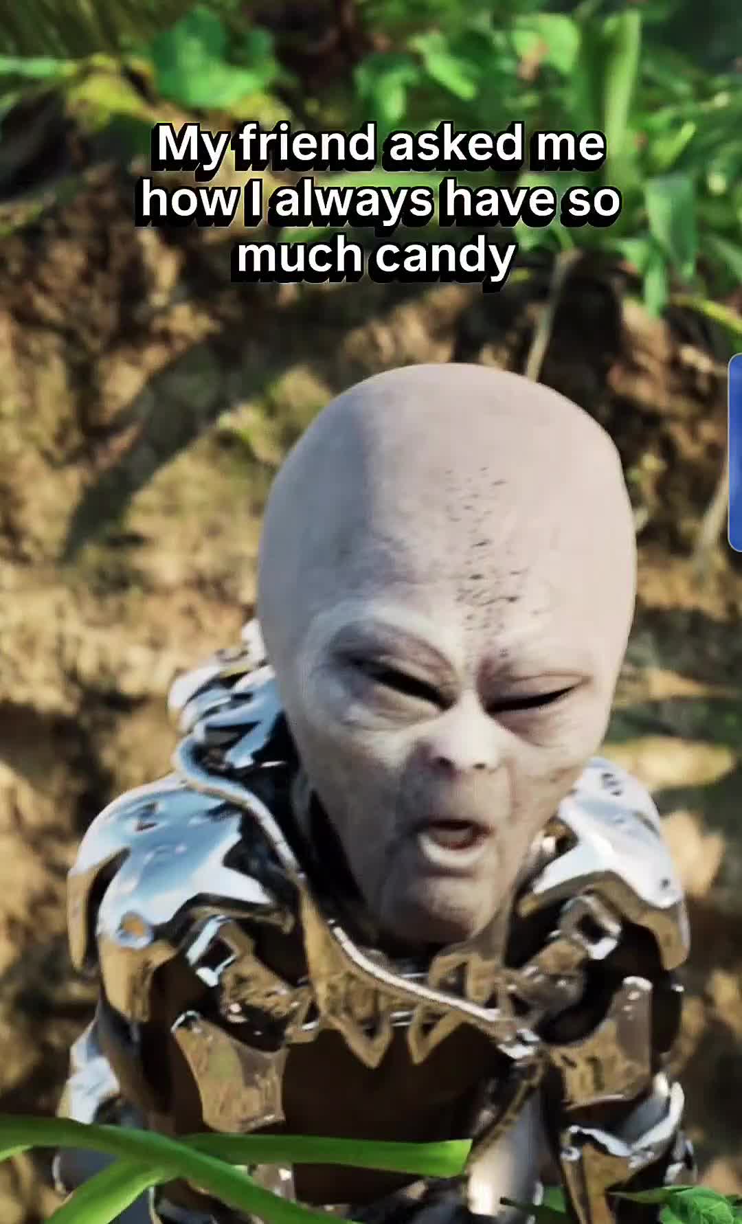 @Wheems