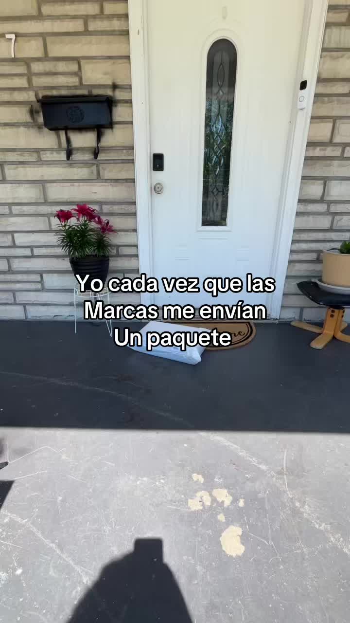 @dianafonte
