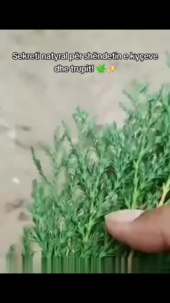@Fakte Sh&euml;ndet&euml;sore