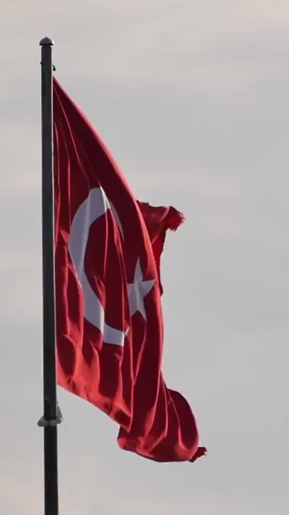 @cemre korkmaz