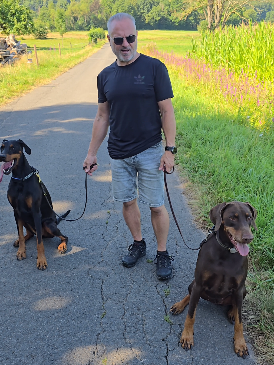 @dobermanndeutschland