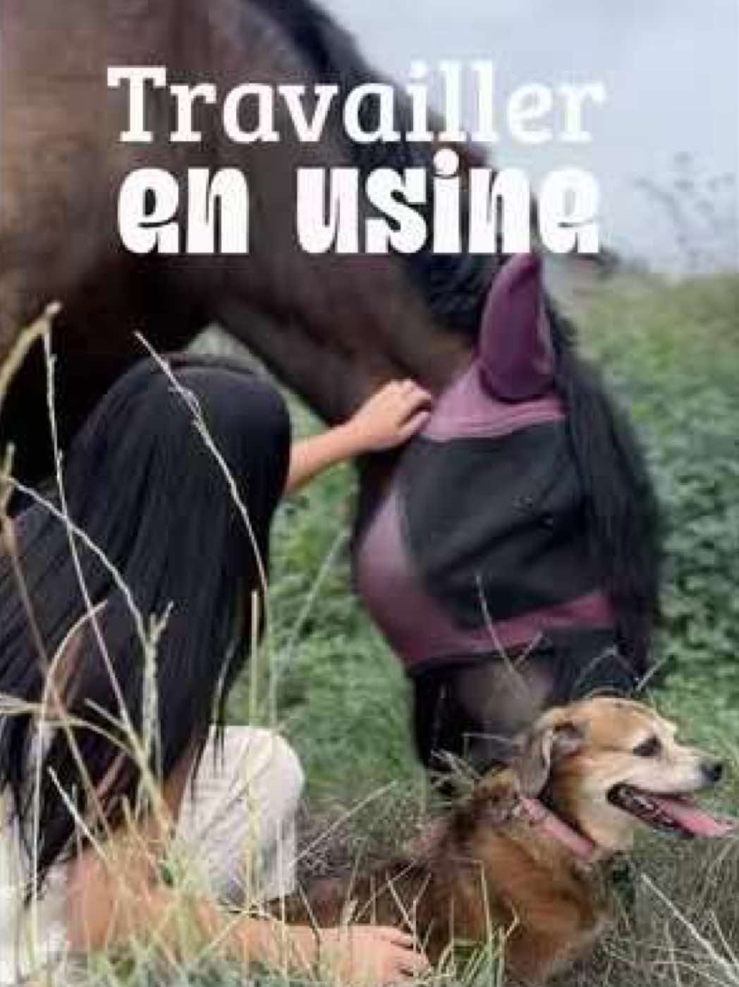 @Untraitdecheval
