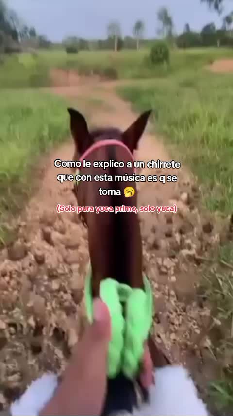 @Juan Meza