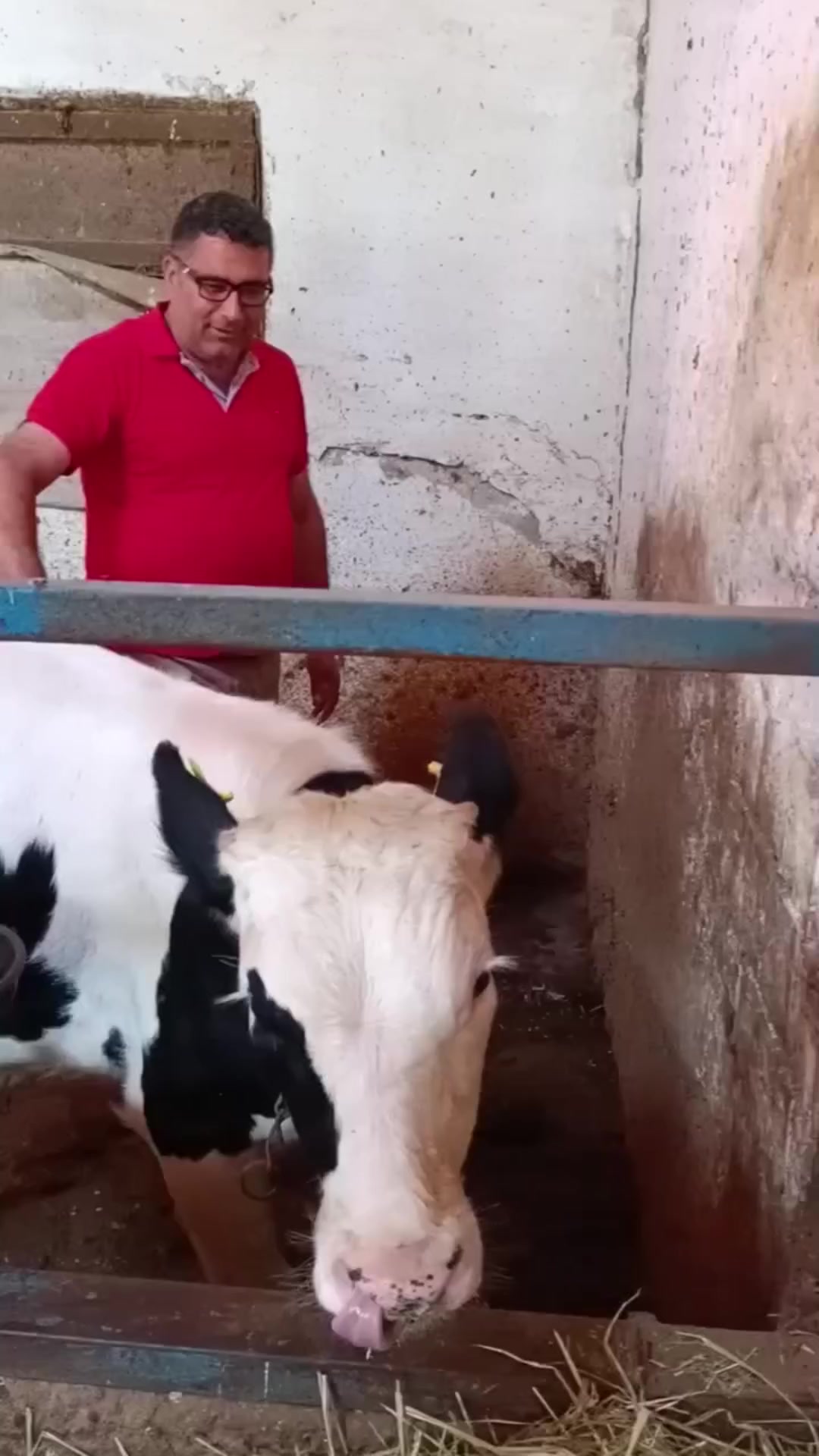 @Vet. Hekim Bülent SEZER