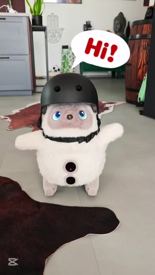 @Living with Robots