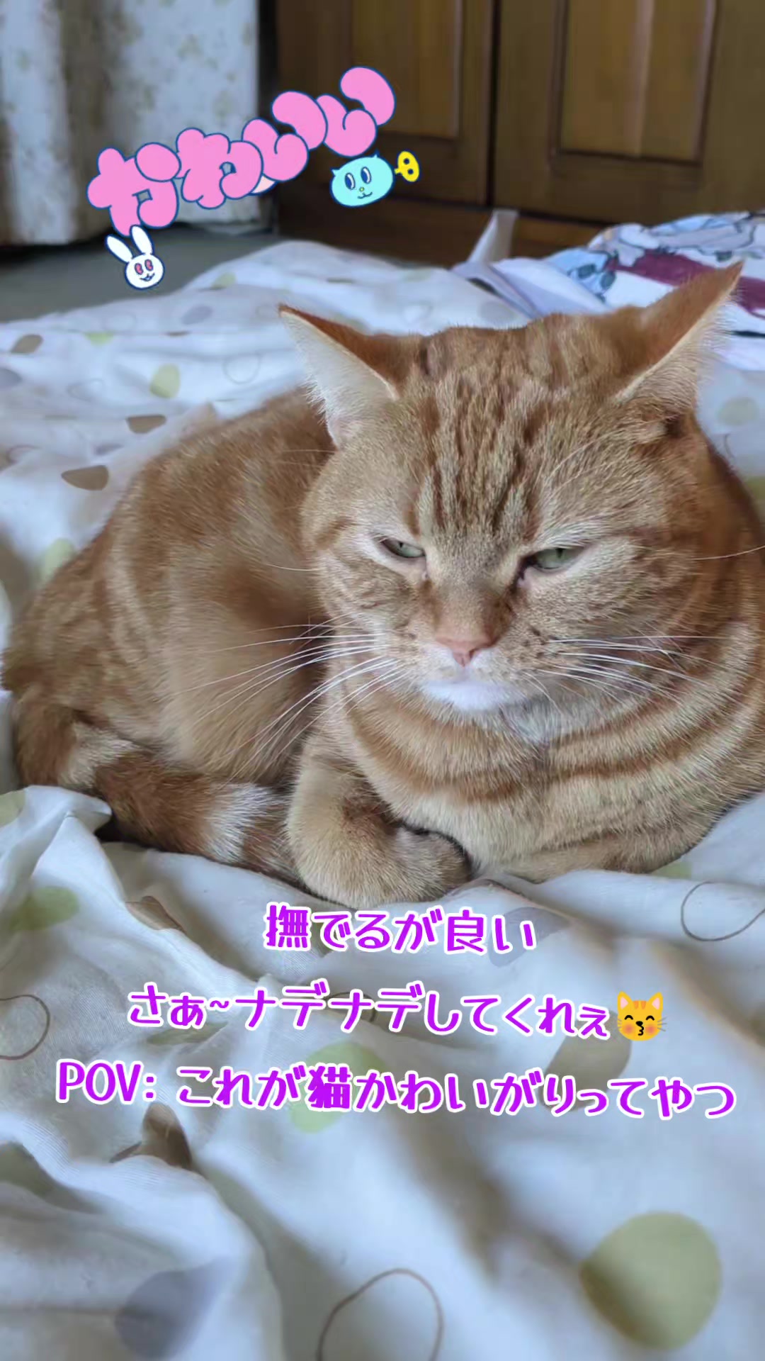 @JUNjun