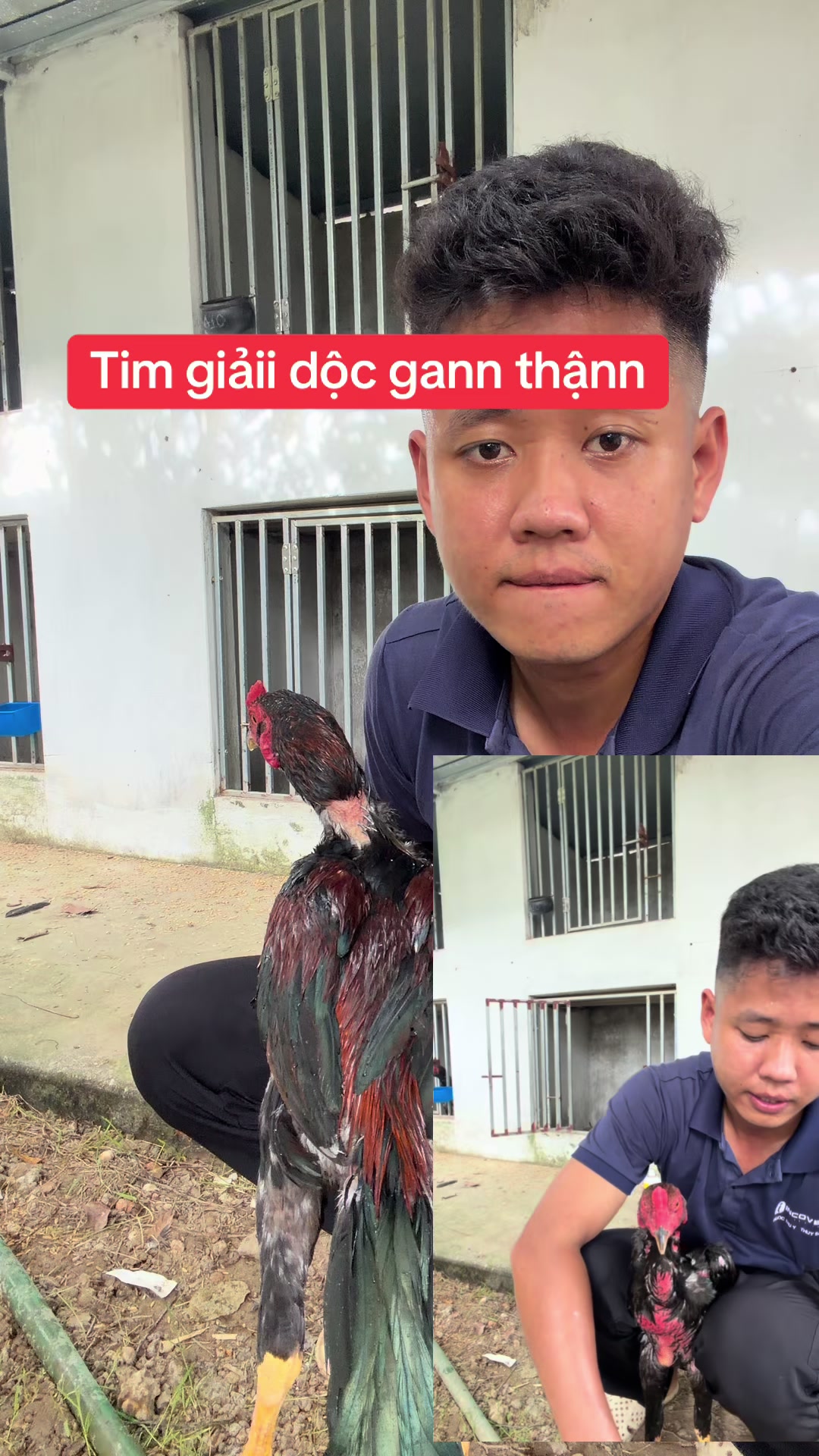 @Quyền Ba V&igrave;