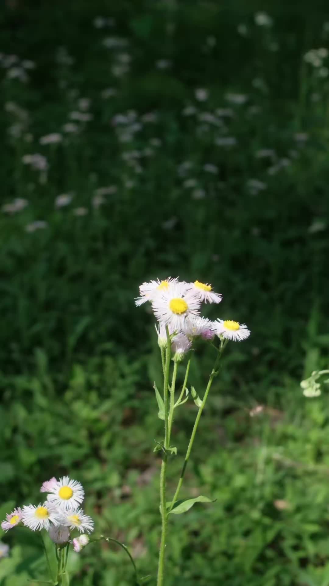 @Wander North Georgia