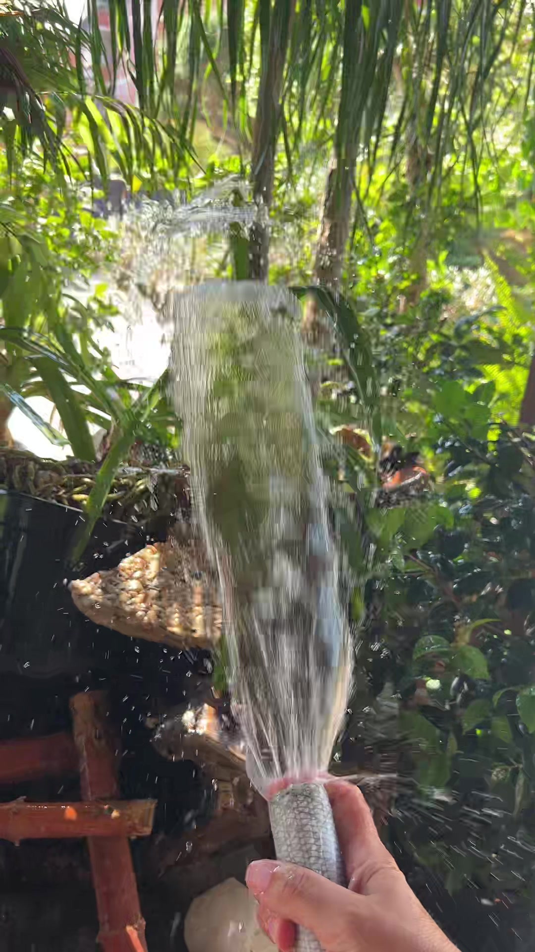 @vivaioanticogarden