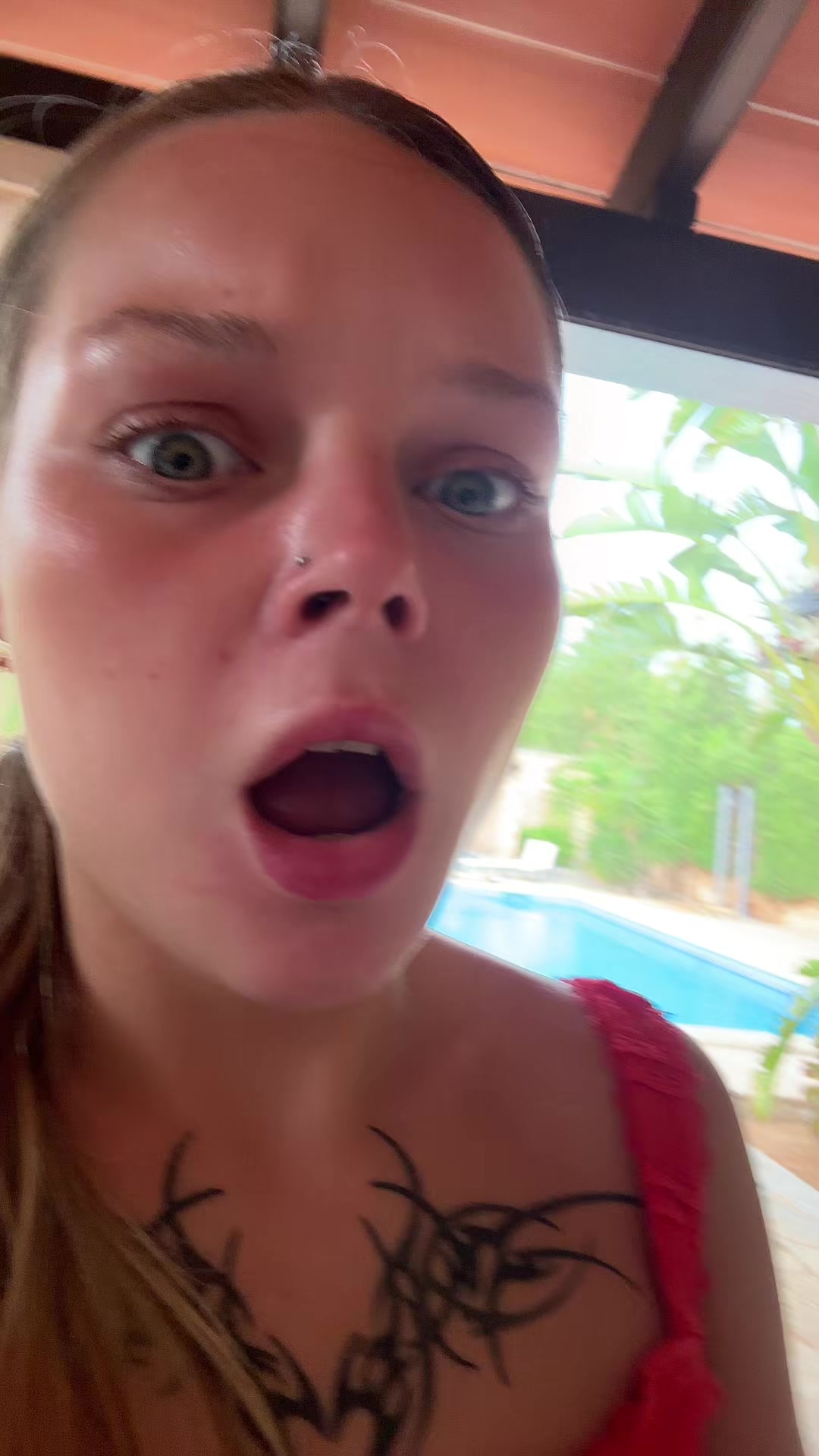 @bordermina