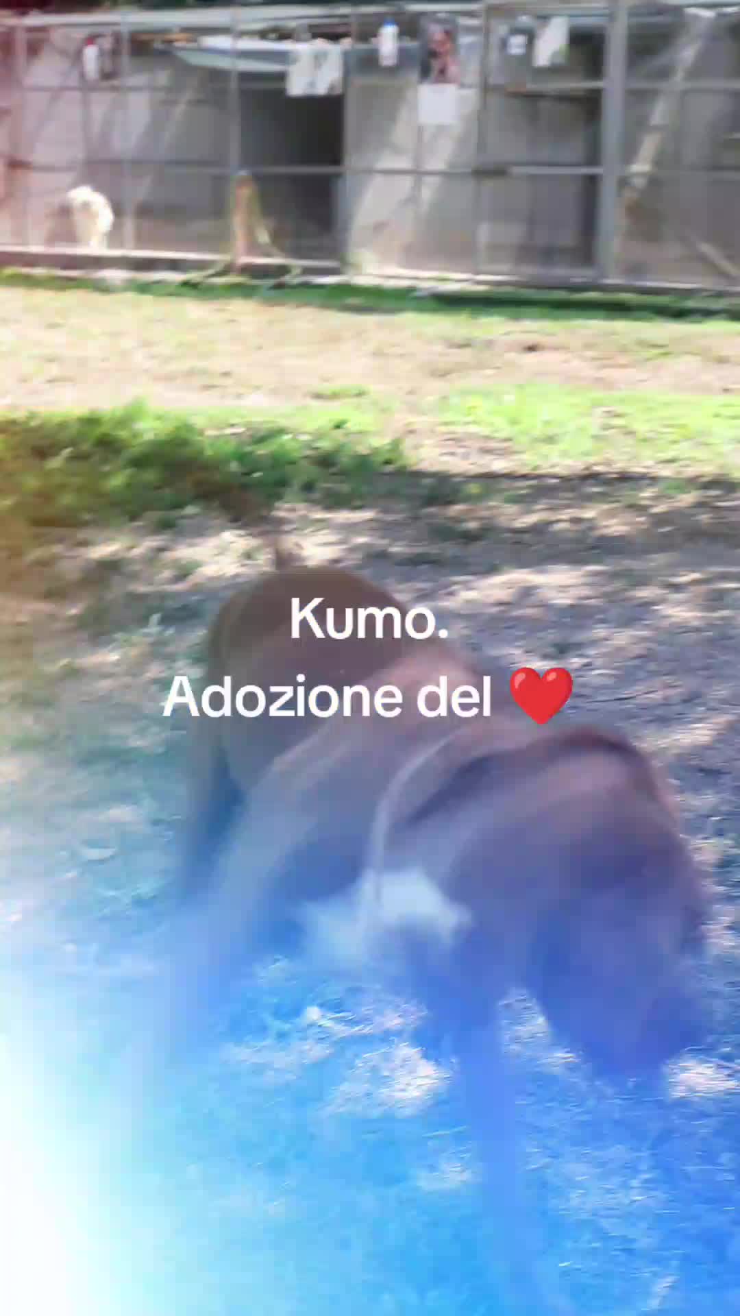 @code felici