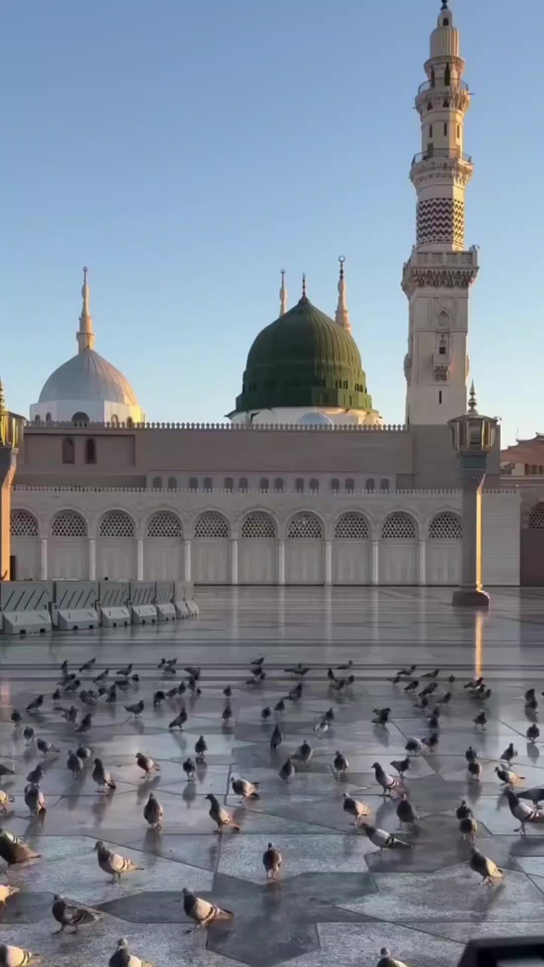 @FT islamic