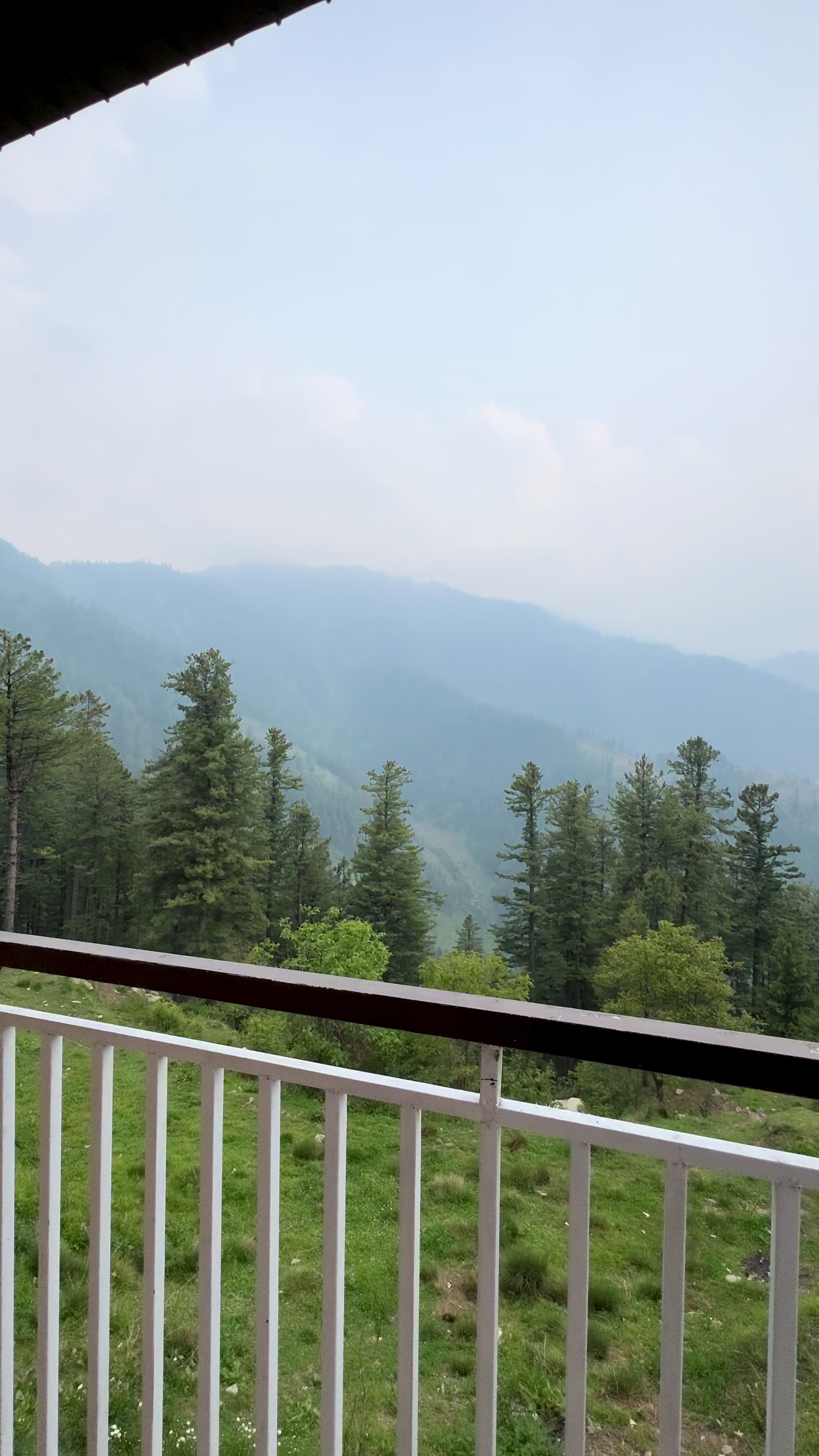 @Shogran Vibes