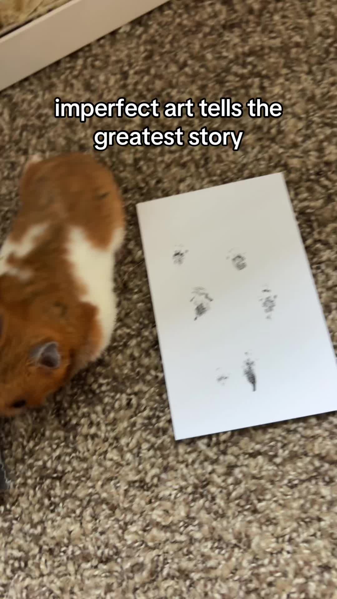 @thatweirdanimalgirl