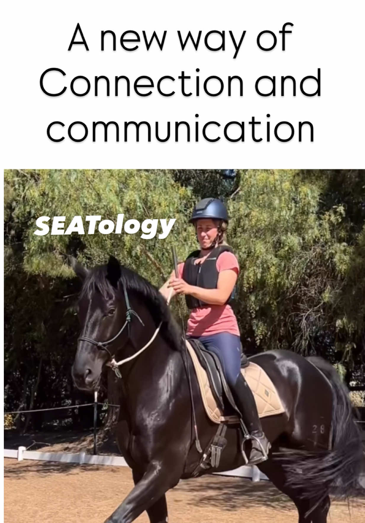 @EQUISIT Way Of Life