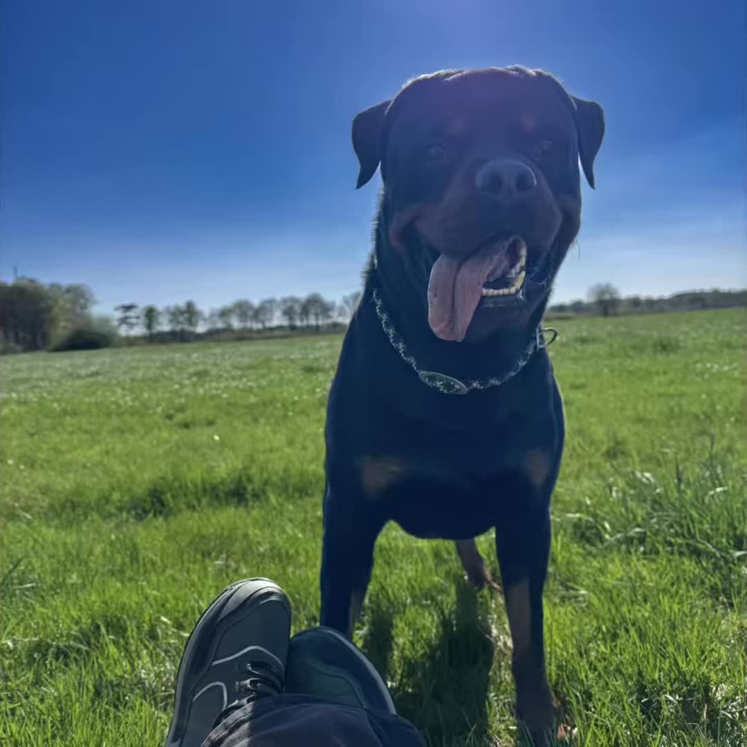 @Saphir🥰🐾