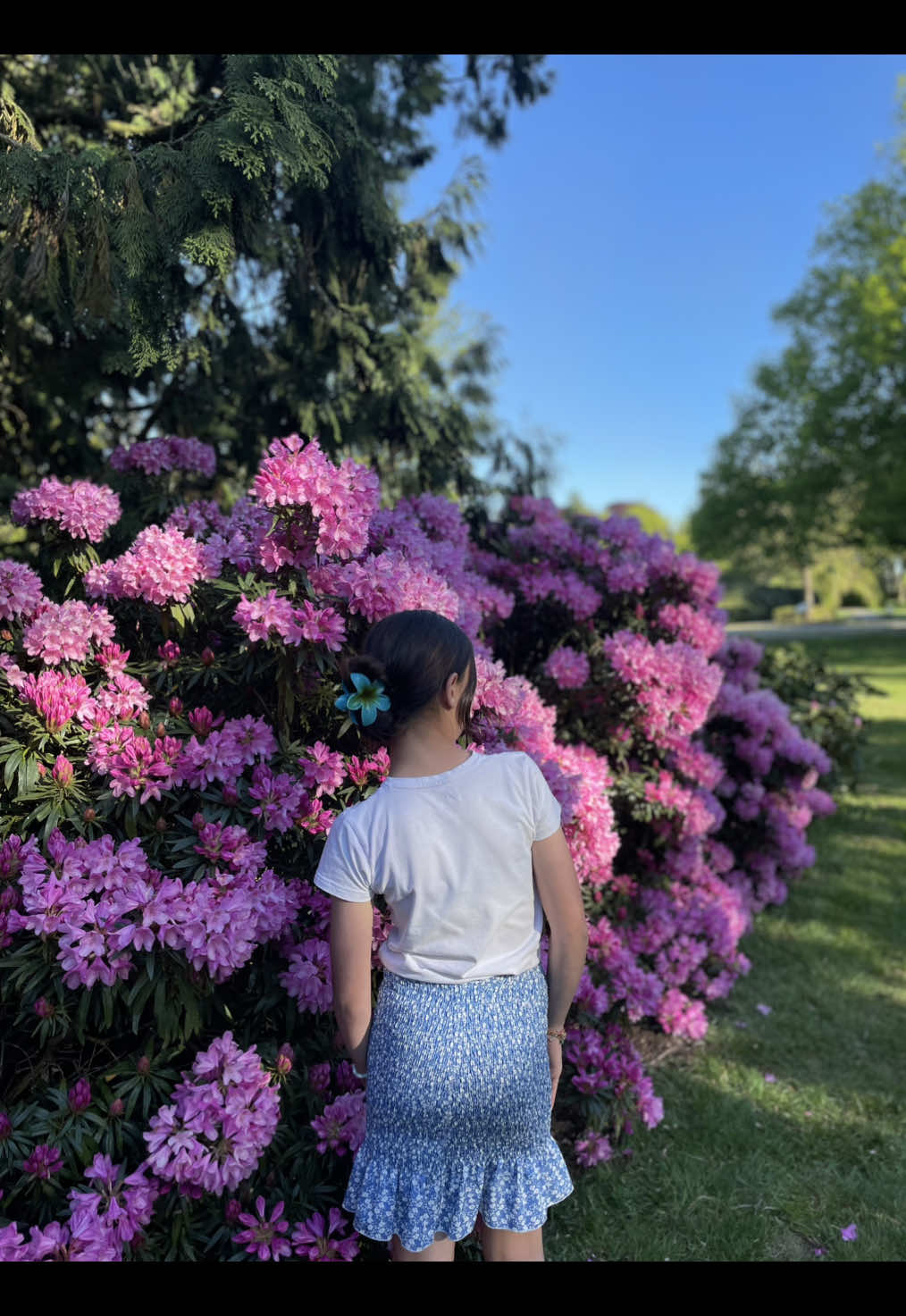 @Ke&ccedil;a Kurdistan&ecirc;☀️