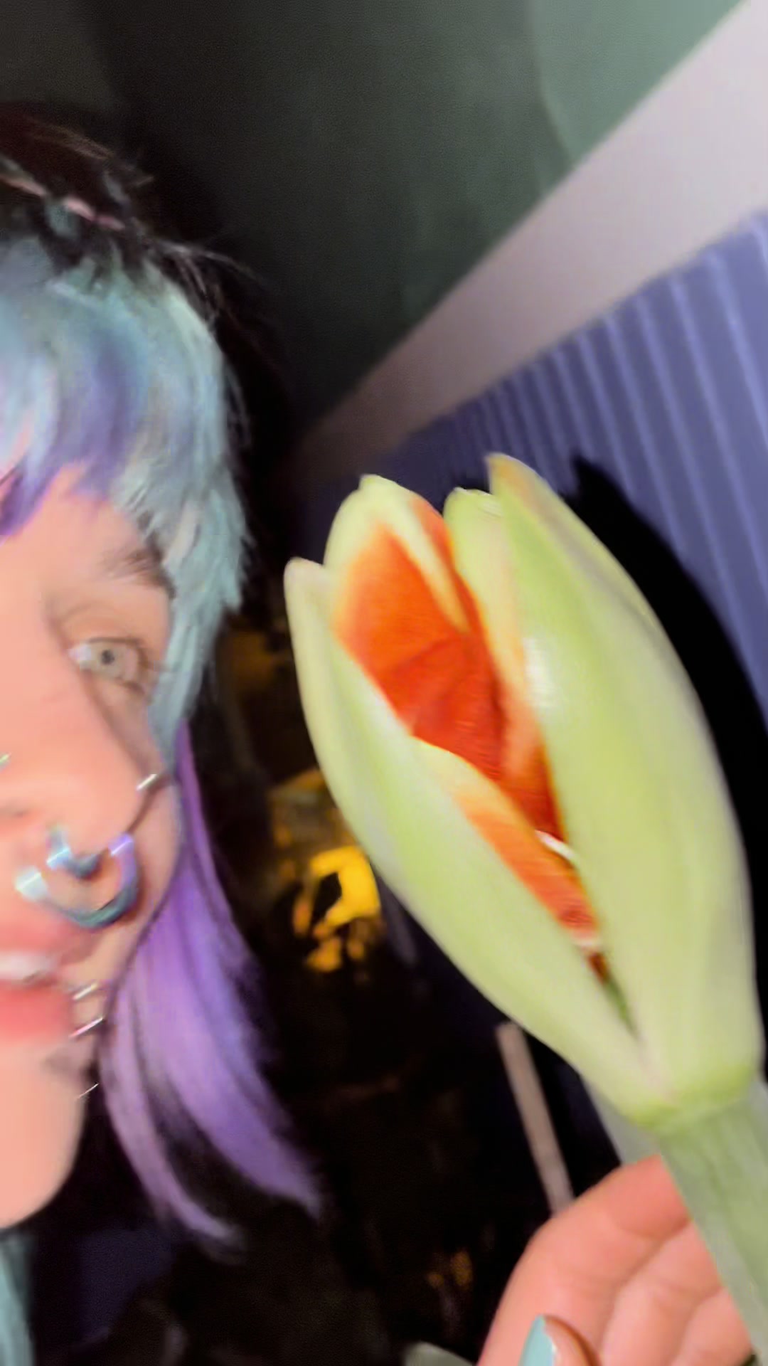 @☾꩜✩ B͎ u͎ g͎.𓆣ִ⭒𖦹☽