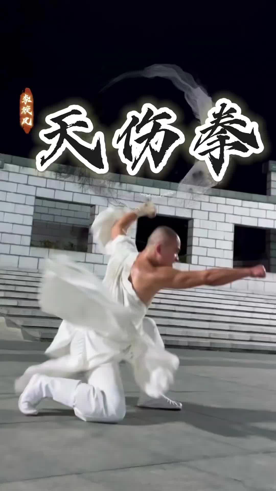@ShaolinNextGen