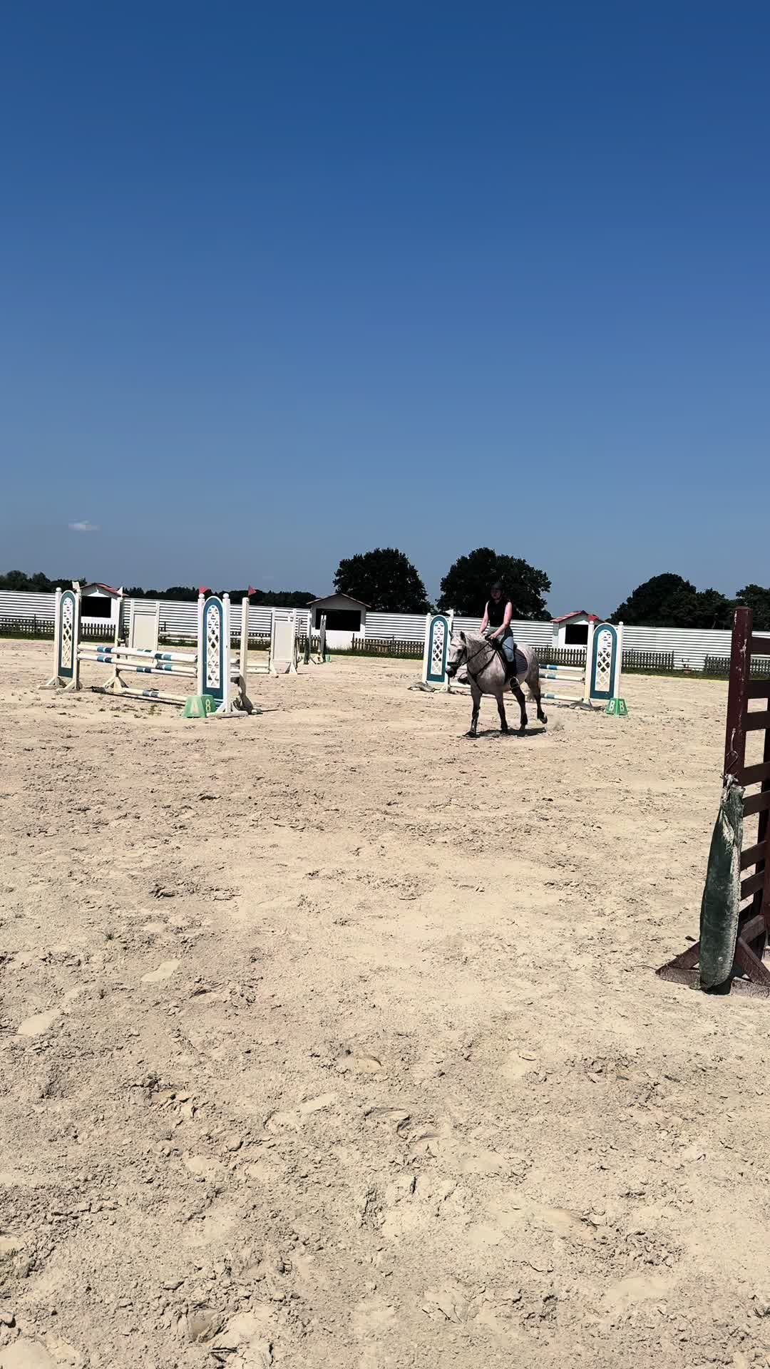 @sunny_the_pony20