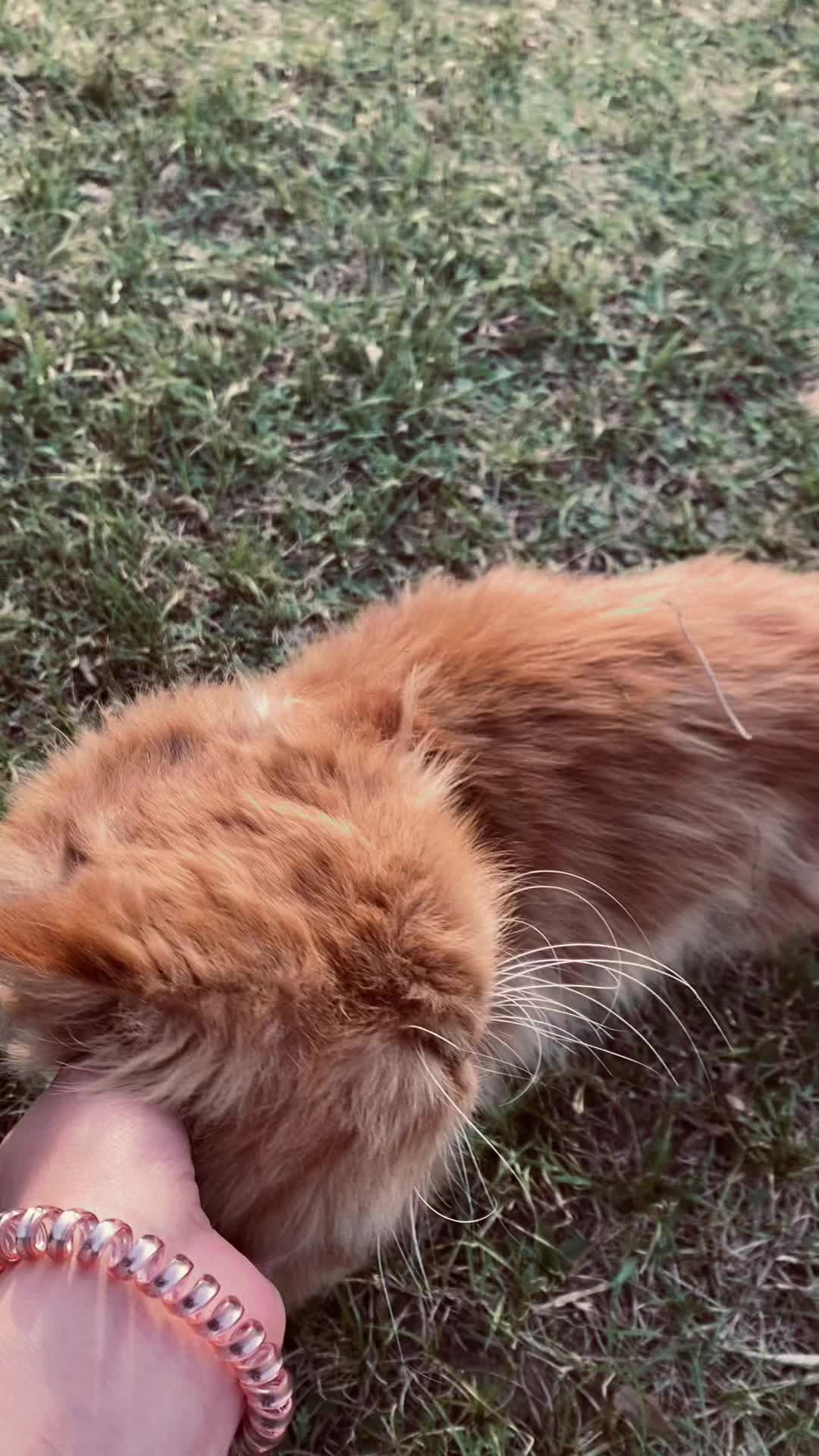 @миля🧟&zwj;♀️