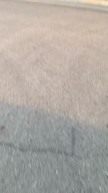 @Zebrah