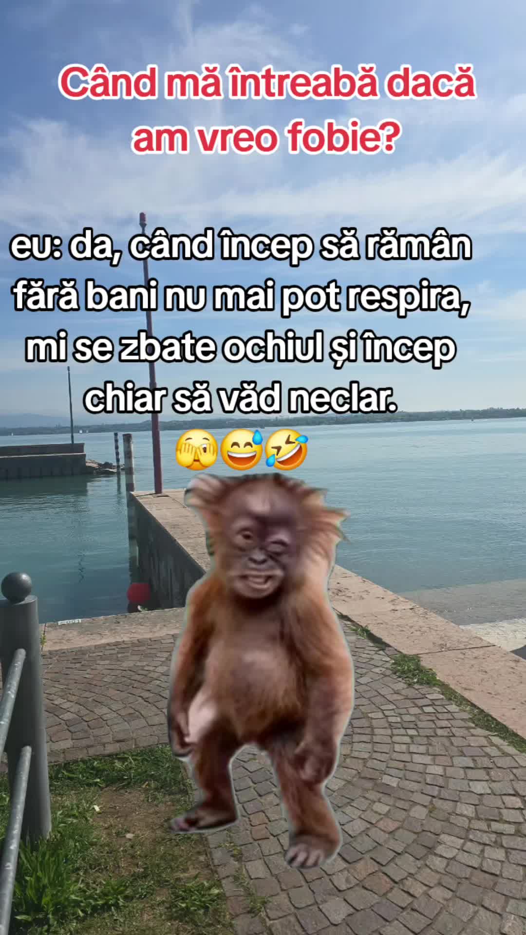 @ank_andreescu867