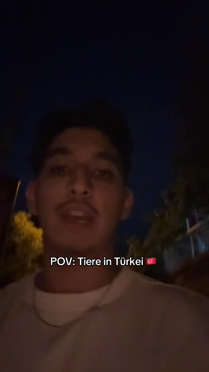 @ahmet