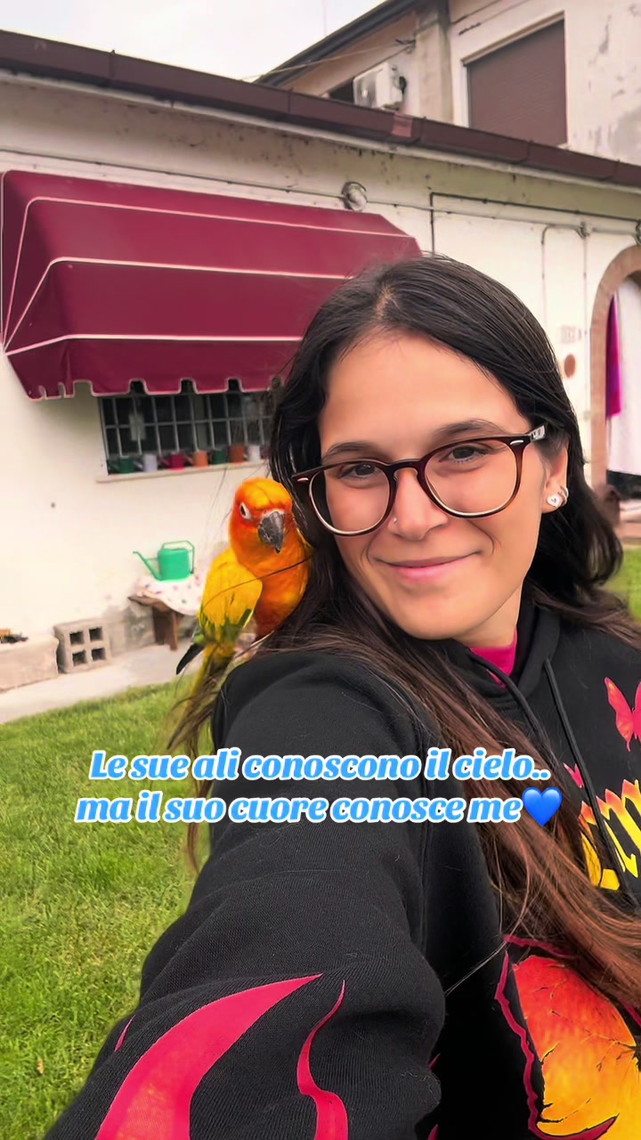 @Martina Rossin